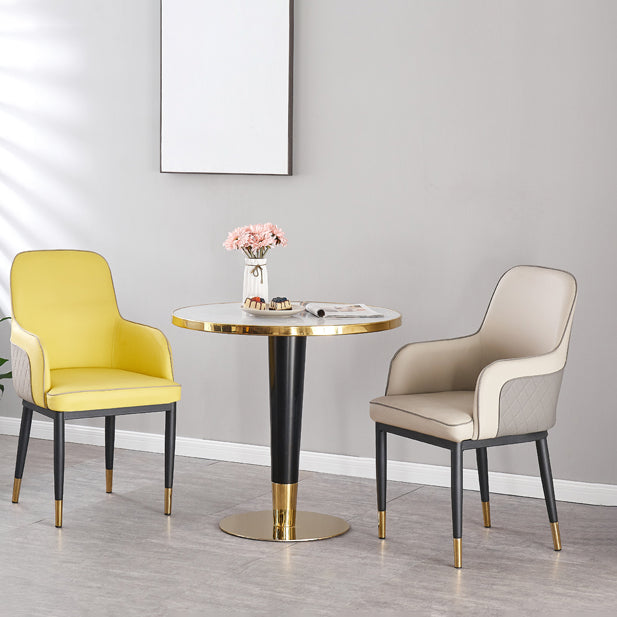 Contemporary Style Dining Side Chair Kitchen Arm Chair with Metal Legs Clearhalo ' kitchen&dining_furn' 'Dining Chairs' 'Dining Tables & Seating' 'dining_chair' 'furn' 'furn_dining_chair' 'Furniture' 'furniture_dining_chair' 'Kitchen & Dining Furniture' 'kitchen' 3859760