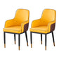 Contemporary Style Dining Side Chair Kitchen Arm Chair with Metal Legs Orange 2 Piece Set Brass Gold Clearhalo ' kitchen&dining_furn' 'Dining Chairs' 'Dining Tables & Seating' 'dining_chair' 'furn' 'furn_dining_chair' 'Furniture' 'furniture_dining_chair' 'Kitchen & Dining Furniture' 'kitchen' 3859778