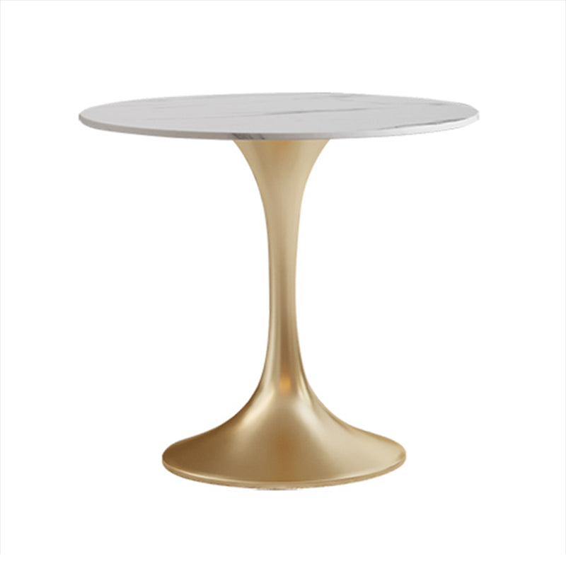 Round Tulip Base Luxury Dining Table White Tone Fixed Table with Sintered Stone Clearhalo ' dining_table' 'Dining Tables & Seating' 'Dining Tables' 'furn' 'furn_dining_table' 'Furniture' 'furniture_dining_table' 'Kitchen & Dining Furniture' 'kitchen&dining_furn' 'kitchen' 'kitchen_dining_table' 3863896