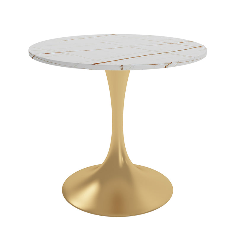 Round Luxury Style Dining Table White Tone Fixed Table with Sintered Stone Without Chairs Clearhalo ' dining_table' 'Dining Tables & Seating' 'Dining Tables' 'furn' 'furn_dining_table' 'Furniture' 'furniture_dining_table' 'Kitchen & Dining Furniture' 'kitchen&dining_furn' 'kitchen' 'kitchen_dining_table' 3863995
