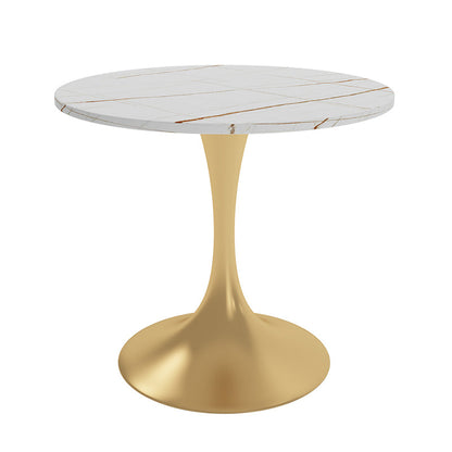 Round Luxury Style Dining Table White Tone Fixed Table with Sintered Stone Without Chairs Clearhalo ' dining_table' 'Dining Tables & Seating' 'Dining Tables' 'furn' 'furn_dining_table' 'Furniture' 'furniture_dining_table' 'Kitchen & Dining Furniture' 'kitchen&dining_furn' 'kitchen' 'kitchen_dining_table' 3863995