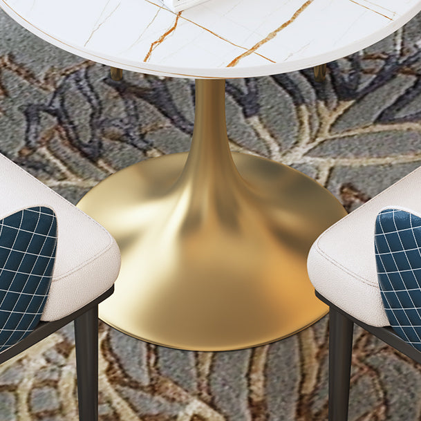 Round Luxury Style Dining Table White Tone Fixed Table with Sintered Stone Clearhalo ' dining_table' 'Dining Tables & Seating' 'Dining Tables' 'furn' 'furn_dining_table' 'Furniture' 'furniture_dining_table' 'Kitchen & Dining Furniture' 'kitchen&dining_furn' 'kitchen' 'kitchen_dining_table' 3863998