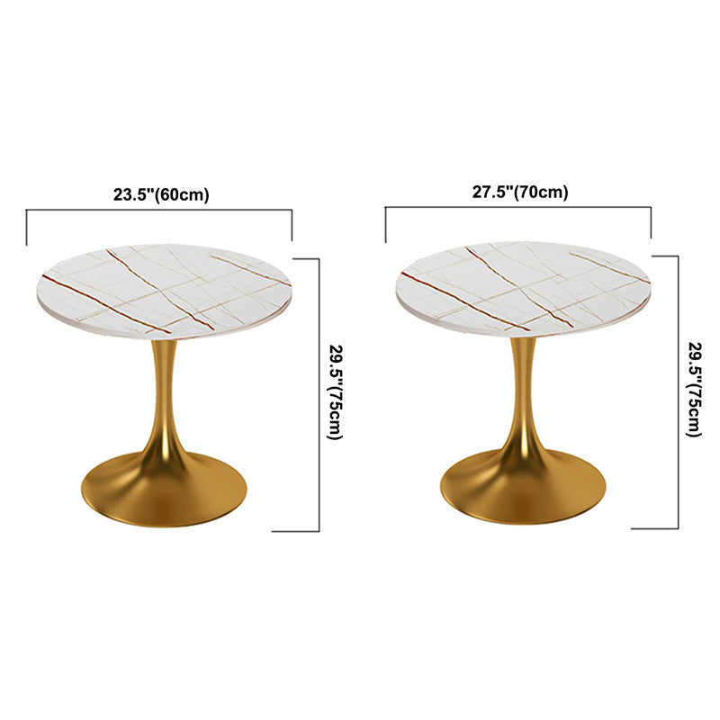 Round Luxury Style Dining Table White Tone Fixed Table with Sintered Stone Clearhalo ' dining_table' 'Dining Tables & Seating' 'Dining Tables' 'furn' 'furn_dining_table' 'Furniture' 'furniture_dining_table' 'Kitchen & Dining Furniture' 'kitchen&dining_furn' 'kitchen' 'kitchen_dining_table' 3864000