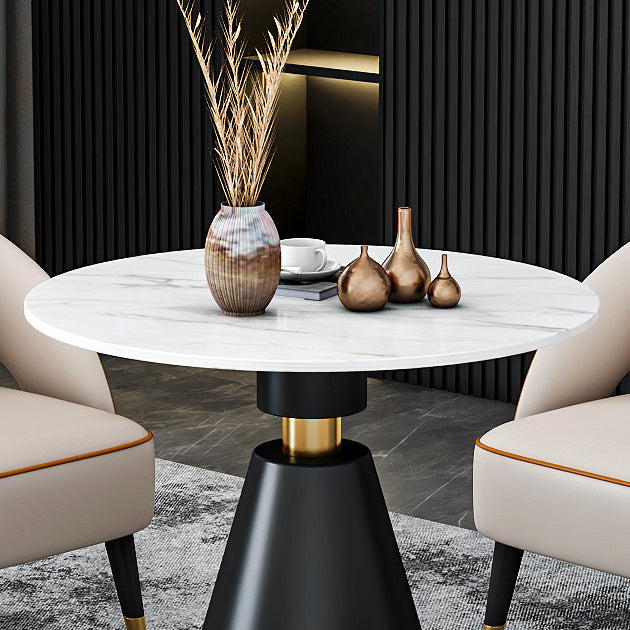 Traditional Luxury Round Dining Room Table Sintered Stone Table with Black Pedestal Base Clearhalo ' dining_table' 'Dining Tables & Seating' 'Dining Tables' 'furn' 'furn_dining_table' 'Furniture' 'furniture_dining_table' 'Kitchen & Dining Furniture' 'kitchen&dining_furn' 'kitchen' 'kitchen_dining_table' 3864183
