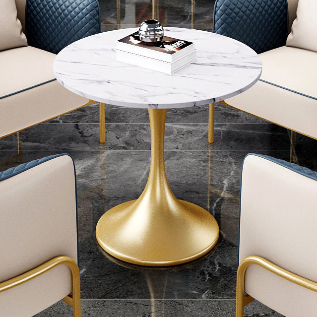 Round Tulip Base Luxury Dining Table White Fixed Table with Sintered Stone Clearhalo ' dining_table' 'Dining Tables & Seating' 'Dining Tables' 'furn' 'furn_dining_table' 'Furniture' 'furniture_dining_table' 'Kitchen & Dining Furniture' 'kitchen&dining_furn' 'kitchen' 'kitchen_dining_table' 3864741