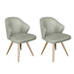 Contemporary Style Metal Dining Chair Dining Wingback Side Chair for Kitchen Light Gray 2 Piece Set Clearhalo ' kitchen&dining_furn' 'Dining Chairs' 'Dining Tables & Seating' 'dining_chair' 'furn' 'furn_dining_chair' 'Furniture' 'furniture_dining_chair' 'Kitchen & Dining Furniture' 'kitchen' 3871032