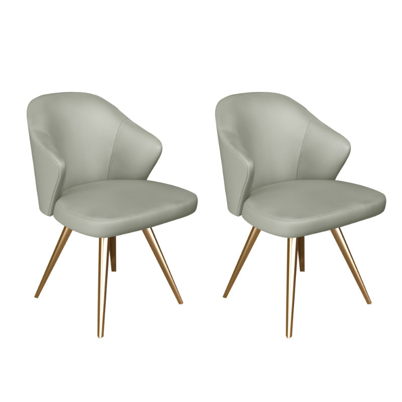 Contemporary Style Metal Dining Chair Dining Wingback Side Chair for Kitchen Light Gray 2 Piece Set Clearhalo ' kitchen&dining_furn' 'Dining Chairs' 'Dining Tables & Seating' 'dining_chair' 'furn' 'furn_dining_chair' 'Furniture' 'furniture_dining_chair' 'Kitchen & Dining Furniture' 'kitchen' 3871032