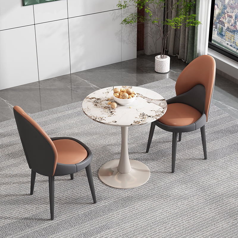 Modern Style Side Chair Indoor Solid Back Metal Upholstered Dining Room Chair (Set of 2) Clearhalo ' kitchen&dining_furn' 'Dining Chairs' 'Dining Tables & Seating' 'dining_chair' 'furn' 'furn_dining_chair' 'Furniture' 'furniture_dining_chair' 'Kitchen & Dining Furniture' 'kitchen' 3871068