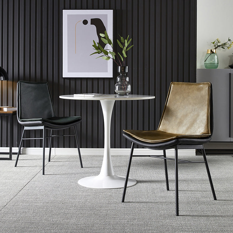 Industrial Style Leather Dining Chairs Solid Back Armless Side Chairs (Set of 2) Clearhalo ' kitchen&dining_furn' 'Dining Chairs' 'Dining Tables & Seating' 'dining_chair' 'furn' 'furn_dining_chair' 'Furniture' 'furniture_dining_chair' 'Kitchen & Dining Furniture' 'kitchen' 3871428