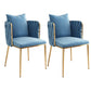 Contemporary Metal Dining Room Chairs Velvet Armless Dining Chairs for Home Use Light Blue 2 Piece Set Clearhalo ' kitchen&dining_furn' 'Dining Chairs' 'Dining Tables & Seating' 'dining_chair' 'furn' 'furn_dining_chair' 'Furniture' 'furniture_dining_chair' 'Kitchen & Dining Furniture' 'kitchen' 3872035