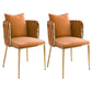 Contemporary Metal Dining Room Chairs Velvet Armless Dining Chairs for Home Use Orange Red 2 Piece Set Clearhalo ' kitchen&dining_furn' 'Dining Chairs' 'Dining Tables & Seating' 'dining_chair' 'furn' 'furn_dining_chair' 'Furniture' 'furniture_dining_chair' 'Kitchen & Dining Furniture' 'kitchen' 3872045