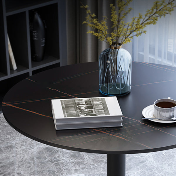 Traditional Luxury Round Dining Room Table Sintered Stone Table with Pedestal Base Clearhalo ' dining_table' 'Dining Tables & Seating' 'Dining Tables' 'furn' 'furn_dining_table' 'Furniture' 'furniture_dining_table' 'Kitchen & Dining Furniture' 'kitchen&dining_furn' 'kitchen' 'kitchen_dining_table' 3875664