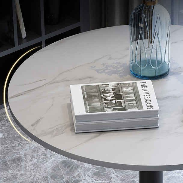 Traditional Luxury Round Dining Room Table Sintered Stone Table with Pedestal Base Clearhalo ' dining_table' 'Dining Tables & Seating' 'Dining Tables' 'furn' 'furn_dining_table' 'Furniture' 'furniture_dining_table' 'Kitchen & Dining Furniture' 'kitchen&dining_furn' 'kitchen' 'kitchen_dining_table' 3875666
