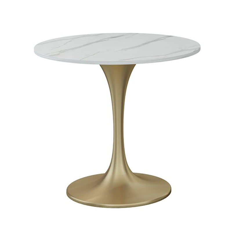 Traditional Luxury Round Dining Site Table Stone Home Furniture with Tulip Base Without Chairs Clearhalo ' dining_table' 'Dining Tables & Seating' 'Dining Tables' 'furn' 'furn_dining_table' 'Furniture' 'furniture_dining_table' 'Kitchen & Dining Furniture' 'kitchen&dining_furn' 'kitchen' 'kitchen_dining_table' 3875749