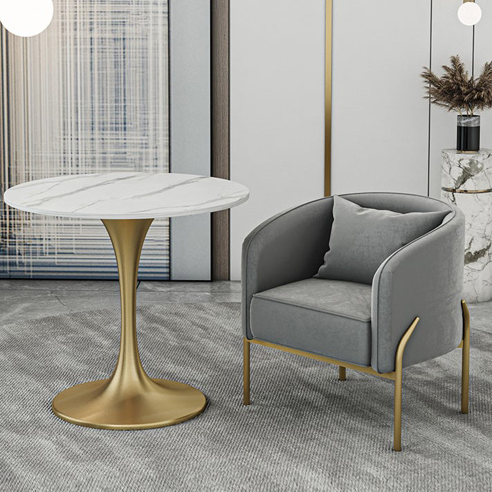 Traditional Luxury Round Dining Site Table Stone Home Furniture with Tulip Base Clearhalo ' dining_table' 'Dining Tables & Seating' 'Dining Tables' 'furn' 'furn_dining_table' 'Furniture' 'furniture_dining_table' 'Kitchen & Dining Furniture' 'kitchen&dining_furn' 'kitchen' 'kitchen_dining_table' 3875755