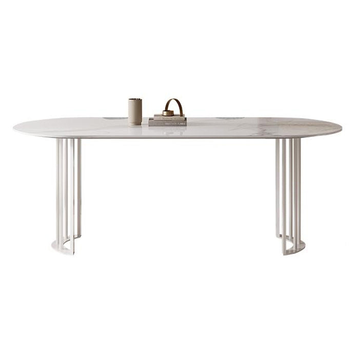 Metal Modern Double Pedestal Dining Table Sintered Stone Top Table for Dining Room and Kitchen Oval Without Chairs Clearhalo ' dining_table' 'Dining Tables & Seating' 'Dining Tables' 'furn' 'furn_dining_table' 'Furniture' 'furniture_dining_table' 'Kitchen & Dining Furniture' 'kitchen&dining_furn' 'kitchen' 'kitchen_dining_table' 3876004