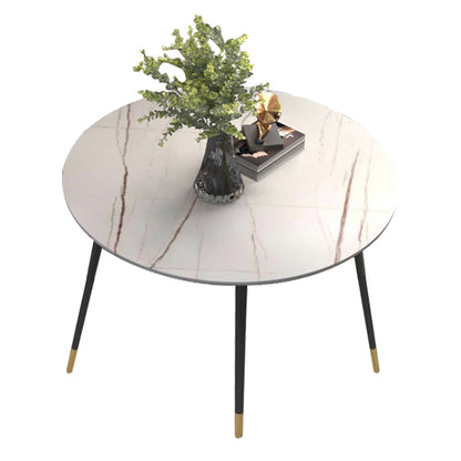 Luxury Style Home Sintered Stone Dining Table 4 Legs Metallic Base Round Table White Without Chairs Clearhalo ' dining_table' 'Dining Tables & Seating' 'Dining Tables' 'furn' 'furn_dining_table' 'Furniture' 'furniture_dining_table' 'Kitchen & Dining Furniture' 'kitchen&dining_furn' 'kitchen' 'kitchen_dining_table' 3876300