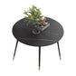 Luxury Style Home Sintered Stone Dining Table 4 Legs Metallic Base Round Table Black Without Chairs Clearhalo ' dining_table' 'Dining Tables & Seating' 'Dining Tables' 'furn' 'furn_dining_table' 'Furniture' 'furniture_dining_table' 'Kitchen & Dining Furniture' 'kitchen&dining_furn' 'kitchen' 'kitchen_dining_table' 3876301