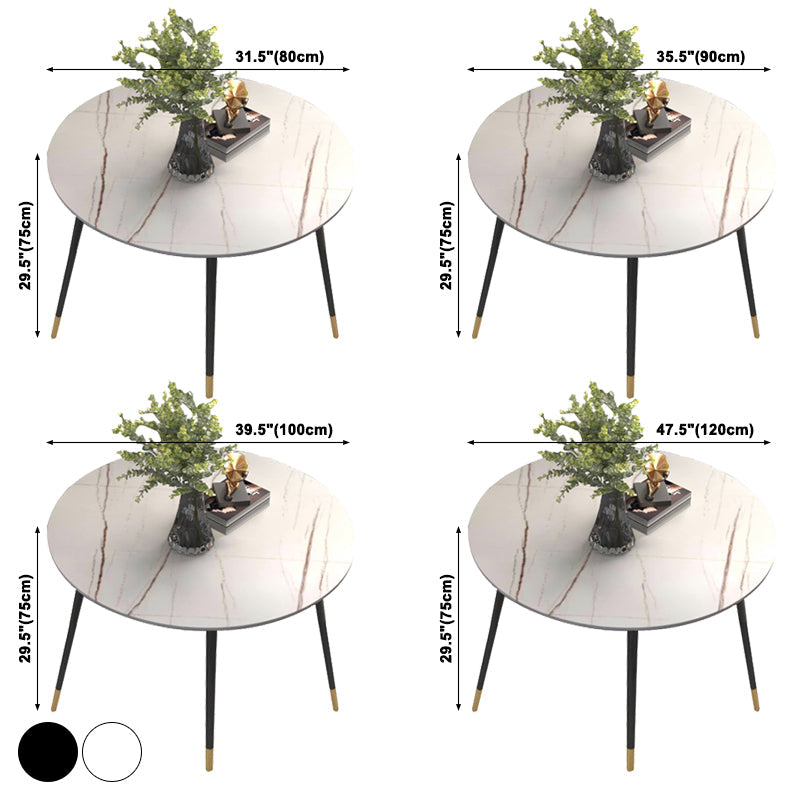 Luxury Style Home Sintered Stone Dining Table 4 Legs Metallic Base Round Table Clearhalo ' dining_table' 'Dining Tables & Seating' 'Dining Tables' 'furn' 'furn_dining_table' 'Furniture' 'furniture_dining_table' 'Kitchen & Dining Furniture' 'kitchen&dining_furn' 'kitchen' 'kitchen_dining_table' 3876305