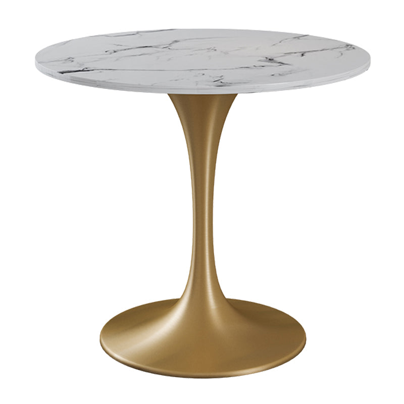 Round Shape Tulip Base Glam Dining Table White Fixed Table of Sintered Stone Without Chairs Clearhalo ' dining_table' 'Dining Tables & Seating' 'Dining Tables' 'furn' 'furn_dining_table' 'Furniture' 'furniture_dining_table' 'Kitchen & Dining Furniture' 'kitchen&dining_furn' 'kitchen' 'kitchen_dining_table' 3886387