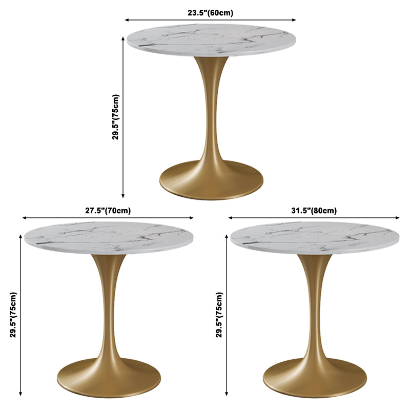 Round Shape Tulip Base Glam Dining Table White Fixed Table of Sintered Stone Clearhalo ' dining_table' 'Dining Tables & Seating' 'Dining Tables' 'furn' 'furn_dining_table' 'Furniture' 'furniture_dining_table' 'Kitchen & Dining Furniture' 'kitchen&dining_furn' 'kitchen' 'kitchen_dining_table' 3886392