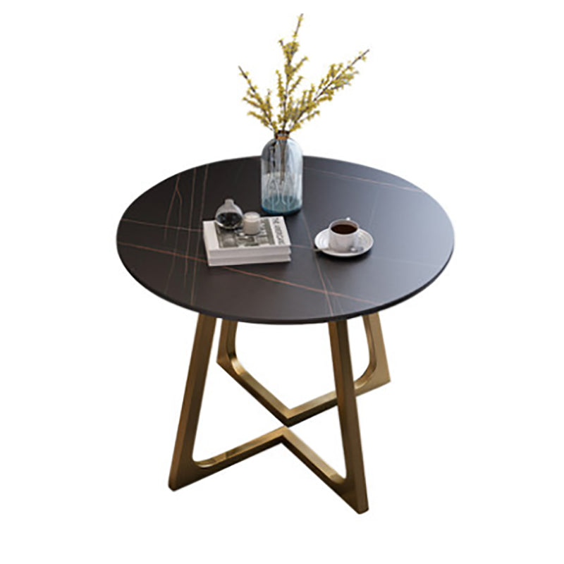 Traditional Luxury Round Dining Room Table Sintered Stone Table with Double Pedestal Black Gold Without Chairs Clearhalo ' dining_table' 'Dining Tables & Seating' 'Dining Tables' 'furn' 'furn_dining_table' 'Furniture' 'furniture_dining_table' 'Kitchen & Dining Furniture' 'kitchen&dining_furn' 'kitchen' 'kitchen_dining_table' 3886470