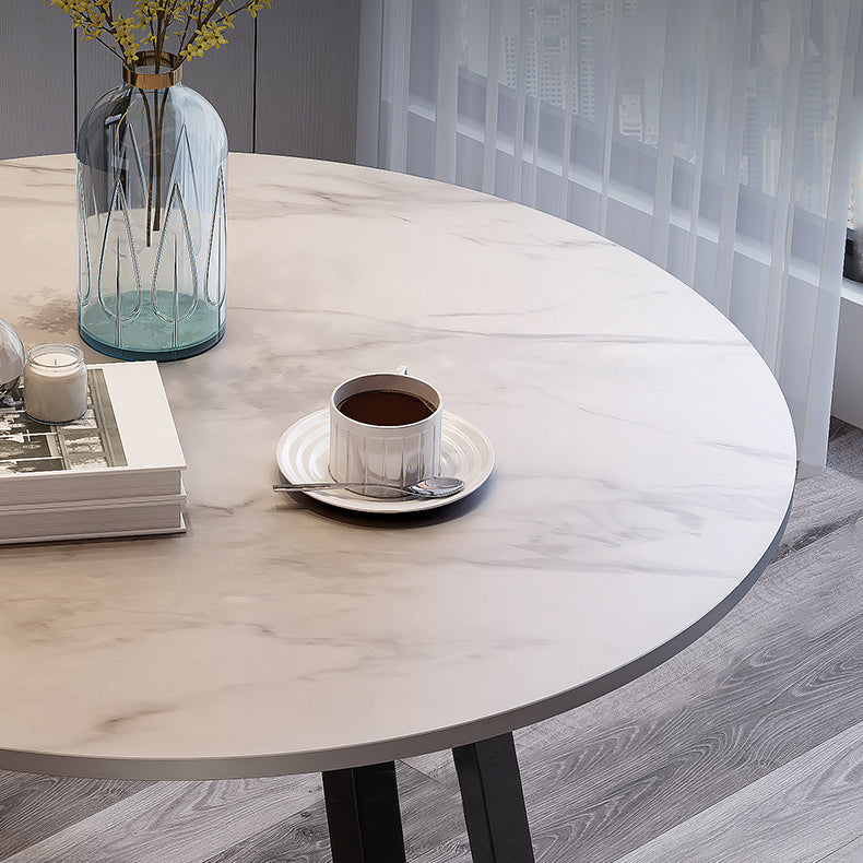 Traditional Luxury Round Dining Room Table Sintered Stone Table with Double Pedestal Clearhalo ' dining_table' 'Dining Tables & Seating' 'Dining Tables' 'furn' 'furn_dining_table' 'Furniture' 'furniture_dining_table' 'Kitchen & Dining Furniture' 'kitchen&dining_furn' 'kitchen' 'kitchen_dining_table' 3886475