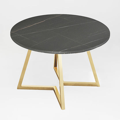 Traditional Luxury Round Double Pedestal Home Furniture Stone Dining Table Black Round Clearhalo ' dining_table' 'Dining Tables & Seating' 'Dining Tables' 'furn' 'furn_dining_table' 'Furniture' 'furniture_dining_table' 'Kitchen & Dining Furniture' 'kitchen&dining_furn' 'kitchen' 'kitchen_dining_table' 3901850