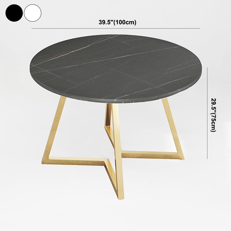 Traditional Luxury Round Double Pedestal Home Furniture Stone Dining Table Clearhalo ' dining_table' 'Dining Tables & Seating' 'Dining Tables' 'furn' 'furn_dining_table' 'Furniture' 'furniture_dining_table' 'Kitchen & Dining Furniture' 'kitchen&dining_furn' 'kitchen' 'kitchen_dining_table' 3901855