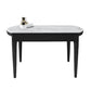 Contemporary Style 53'' Dining Table 4 Legs Dining Site Table with Drop-Leaf Slate Without Chairs Clearhalo ' dining_table' 'Dining Tables & Seating' 'Dining Tables' 'furn' 'furn_dining_table' 'Furniture' 'furniture_dining_table' 'Kitchen & Dining Furniture' 'kitchen&dining_furn' 'kitchen' 'kitchen_dining_table' 3902167