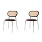 Contemporary Style Metal Chairs Set Open Back Side Dining Room Kitchen Chair Light Brown 2 Piece Set Clearhalo ' kitchen&dining_furn' 'Dining Chairs' 'Dining Tables & Seating' 'dining_chair' 'furn' 'furn_dining_chair' 'Furniture' 'furniture_dining_chair' 'Kitchen & Dining Furniture' 'kitchen' 3909129