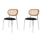 Contemporary Style Metal Chairs Set Open Back Side Dining Room Kitchen Chair Black 2 Piece Set Clearhalo ' kitchen&dining_furn' 'Dining Chairs' 'Dining Tables & Seating' 'dining_chair' 'furn' 'furn_dining_chair' 'Furniture' 'furniture_dining_chair' 'Kitchen & Dining Furniture' 'kitchen' 3909133
