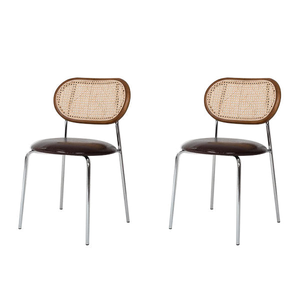 Contemporary Style Metal Chairs Set Open Back Side Dining Room Kitchen Chair Brown 2 Piece Set Clearhalo ' kitchen&dining_furn' 'Dining Chairs' 'Dining Tables & Seating' 'dining_chair' 'furn' 'furn_dining_chair' 'Furniture' 'furniture_dining_chair' 'Kitchen & Dining Furniture' 'kitchen' 3909136