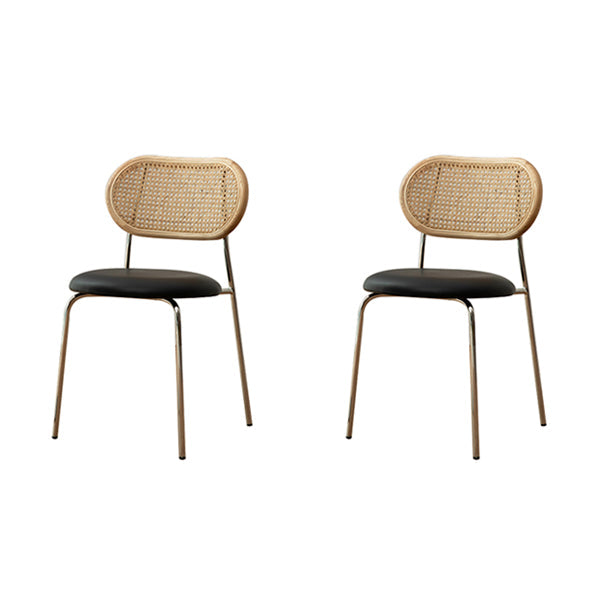 Contemporary Style Metal Chairs Set Open Back Side Dining Room Kitchen Chair Ink 2 Piece Set Clearhalo ' kitchen&dining_furn' 'Dining Chairs' 'Dining Tables & Seating' 'dining_chair' 'furn' 'furn_dining_chair' 'Furniture' 'furniture_dining_chair' 'Kitchen & Dining Furniture' 'kitchen' 3909141