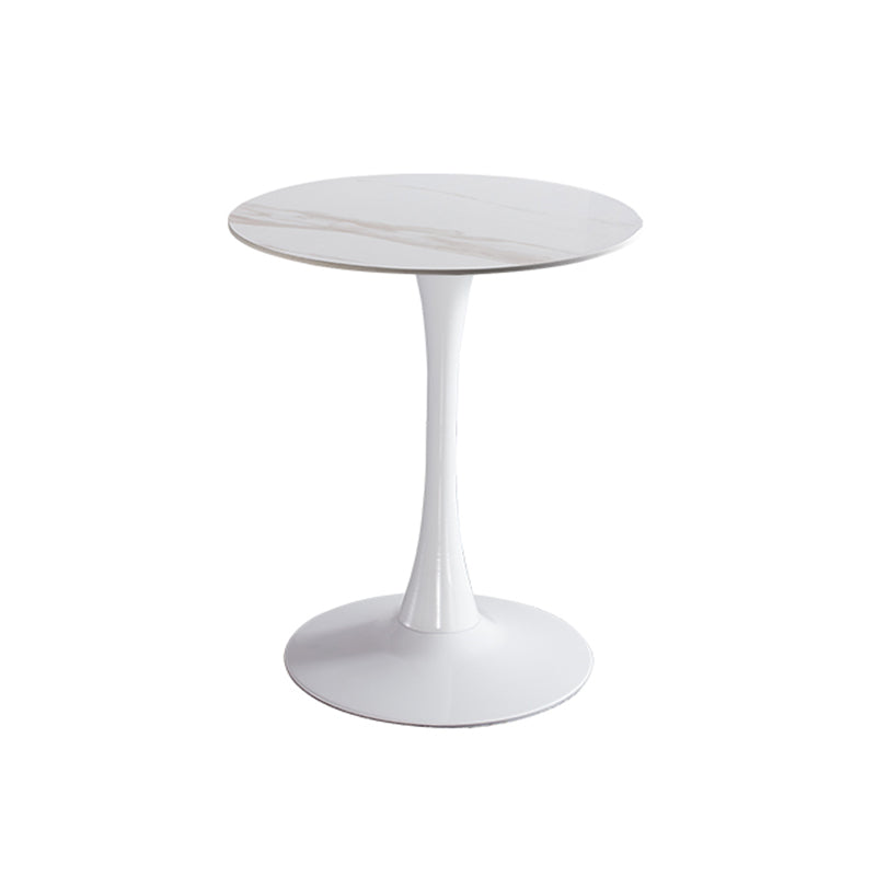 Modern Style Dining Table Round Sintered Stone Dining Table for Home Use White White Clearhalo ' dining_table' 'Dining Tables & Seating' 'Dining Tables' 'furn' 'furn_dining_table' 'Furniture' 'furniture_dining_table' 'Kitchen & Dining Furniture' 'kitchen&dining_furn' 'kitchen' 'kitchen_dining_table' 3922656