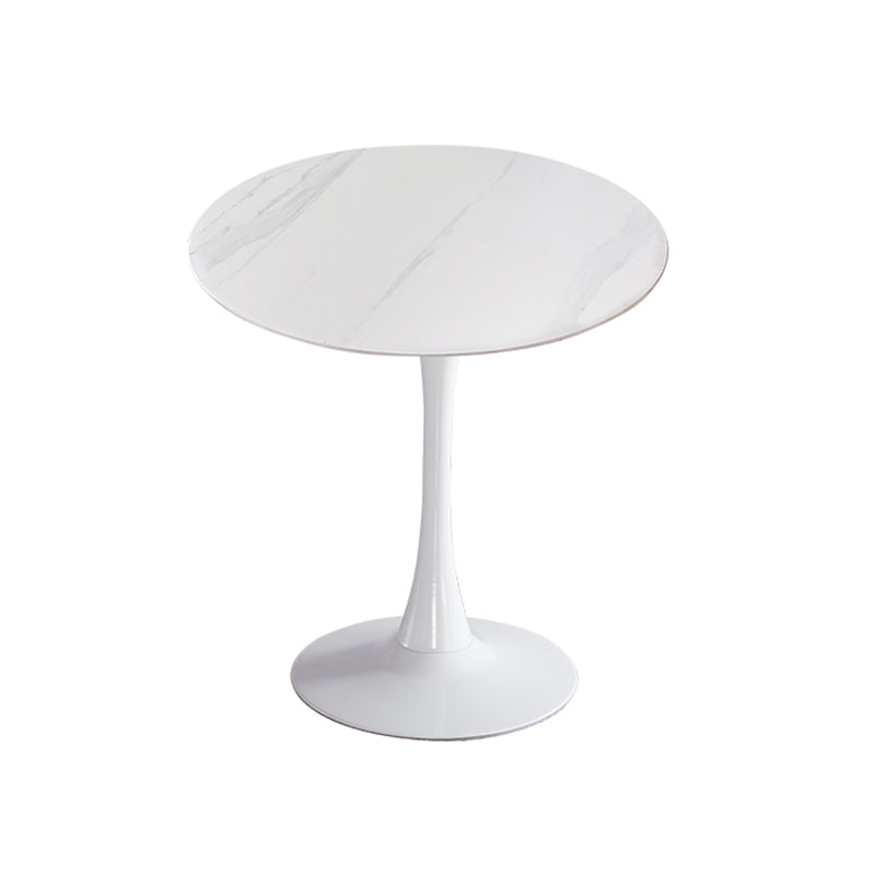 Modern Style Dining Table Round Sintered Stone Dining Table for Home Use Beige White Clearhalo ' dining_table' 'Dining Tables & Seating' 'Dining Tables' 'furn' 'furn_dining_table' 'Furniture' 'furniture_dining_table' 'Kitchen & Dining Furniture' 'kitchen&dining_furn' 'kitchen' 'kitchen_dining_table' 3922657