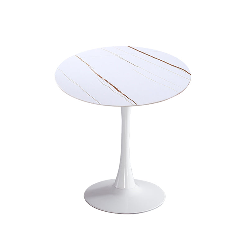 Modern Style Dining Table Round Sintered Stone Dining Table for Home Use White Gold White Clearhalo ' dining_table' 'Dining Tables & Seating' 'Dining Tables' 'furn' 'furn_dining_table' 'Furniture' 'furniture_dining_table' 'Kitchen & Dining Furniture' 'kitchen&dining_furn' 'kitchen' 'kitchen_dining_table' 3922661