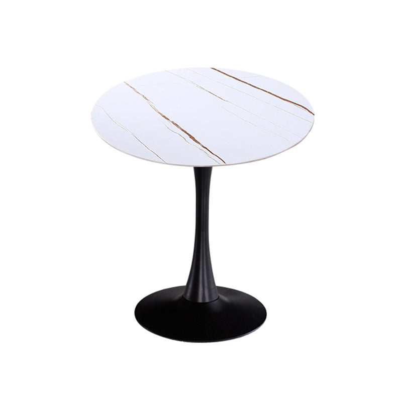 Modern Style Dining Table Round Sintered Stone Dining Table for Home Use White Gold Black Clearhalo ' dining_table' 'Dining Tables & Seating' 'Dining Tables' 'furn' 'furn_dining_table' 'Furniture' 'furniture_dining_table' 'Kitchen & Dining Furniture' 'kitchen&dining_furn' 'kitchen' 'kitchen_dining_table' 3922667