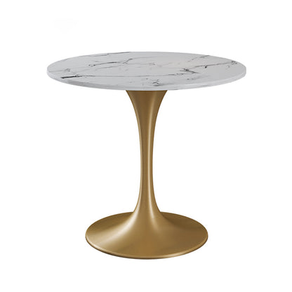 Traditional Luxury Style Dining Table White Round Sintered Stone Table Without Chairs Clearhalo ' dining_table' 'Dining Tables & Seating' 'Dining Tables' 'furn' 'furn_dining_table' 'Furniture' 'furniture_dining_table' 'Kitchen & Dining Furniture' 'kitchen&dining_furn' 'kitchen' 'kitchen_dining_table' 3922914