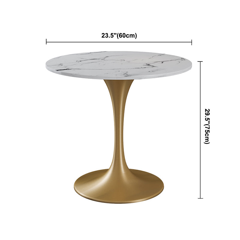 Traditional Luxury Style Dining Table White Round Sintered Stone Table Clearhalo ' dining_table' 'Dining Tables & Seating' 'Dining Tables' 'furn' 'furn_dining_table' 'Furniture' 'furniture_dining_table' 'Kitchen & Dining Furniture' 'kitchen&dining_furn' 'kitchen' 'kitchen_dining_table' 3922921