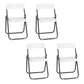 Contemporary Metal Dining Armless Chairs Plastic Open Back Dining Side Chair White-Gray 4 Piece Set Clearhalo ' kitchen&dining_furn' 'Dining Chairs' 'Dining Tables & Seating' 'dining_chair' 'furn' 'furn_dining_chair' 'Furniture' 'furniture_dining_chair' 'Kitchen & Dining Furniture' 'kitchen' 3944125