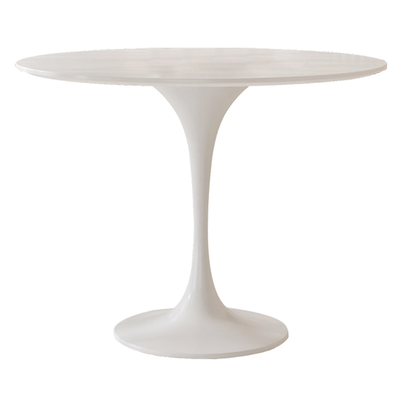 Round Tulip Base Modern Dining Table White Tone Fixed Table for Dining Room Plastic Acrylic Without Chairs Clearhalo ' dining_table' 'Dining Tables & Seating' 'Dining Tables' 'furn' 'furn_dining_table' 'Furniture' 'furniture_dining_table' 'Kitchen & Dining Furniture' 'kitchen&dining_furn' 'kitchen' 'kitchen_dining_table' 3945364