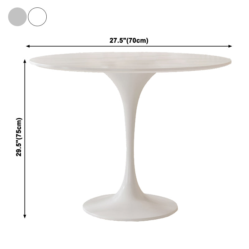 Round Tulip Base Modern Dining Table White Tone Fixed Table for Dining Room Clearhalo ' dining_table' 'Dining Tables & Seating' 'Dining Tables' 'furn' 'furn_dining_table' 'Furniture' 'furniture_dining_table' 'Kitchen & Dining Furniture' 'kitchen&dining_furn' 'kitchen' 'kitchen_dining_table' 3945372