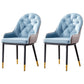 Nordic Style Metal Dining Chairs Parsons Arm Dining Side Chair for Kitchen Blue 2 Piece Set Clearhalo ' kitchen&dining_furn' 'Dining Chairs' 'Dining Tables & Seating' 'dining_chair' 'furn' 'furn_dining_chair' 'Furniture' 'furniture_dining_chair' 'Kitchen & Dining Furniture' 'kitchen' 3951221