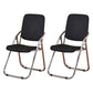 Modern Indoor-Outdoor Chair Metal Folding Armless Open Back Dining Side Chair Matte Black 2 Piece Set Clearhalo ' kitchen&dining_furn' 'Dining Chairs' 'Dining Tables & Seating' 'dining_chair' 'furn' 'furn_dining_chair' 'Furniture' 'furniture_dining_chair' 'Kitchen & Dining Furniture' 'kitchen' 3955790
