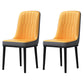 Home Scandinavian Side Chair Metal Solid Back Upholstered Dining Room Chair Orange-Gray 2 Piece Set Black Clearhalo ' kitchen&dining_furn' 'Dining Chairs' 'Dining Tables & Seating' 'dining_chair' 'furn' 'furn_dining_chair' 'Furniture' 'furniture_dining_chair' 'Kitchen & Dining Furniture' 'kitchen' 3957217