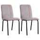 Contemporary Metal Dining Side Chair Dining Room Solid Back Armless Chair Grey 2 Piece Set Clearhalo ' kitchen&dining_furn' 'Dining Chairs' 'Dining Tables & Seating' 'dining_chair' 'furn' 'furn_dining_chair' 'Furniture' 'furniture_dining_chair' 'Kitchen & Dining Furniture' 'kitchen' 3966975