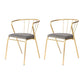 Contemporary Style Metal Dining Chairs Dining Armless Side Chairs for Kitchen Gold 2 Piece Set Clearhalo ' kitchen&dining_furn' 'Dining Chairs' 'Dining Tables & Seating' 'dining_chair' 'furn' 'furn_dining_chair' 'Furniture' 'furniture_dining_chair' 'Kitchen & Dining Furniture' 'kitchen' 3967537