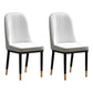 Scandinavian Style Metal Chair Set Kitchen Solid Back Dining Side Chairs Cream Gray 2 Piece Set Clearhalo ' kitchen&dining_furn' 'Dining Chairs' 'Dining Tables & Seating' 'dining_chair' 'furn' 'furn_dining_chair' 'Furniture' 'furniture_dining_chair' 'Kitchen & Dining Furniture' 'kitchen' 3967756