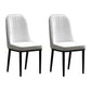 Scandinavian Style Metal Chair Set Kitchen Solid Back Dining Side Chairs White-Gray 2 Piece Set Clearhalo ' kitchen&dining_furn' 'Dining Chairs' 'Dining Tables & Seating' 'dining_chair' 'furn' 'furn_dining_chair' 'Furniture' 'furniture_dining_chair' 'Kitchen & Dining Furniture' 'kitchen' 3967783